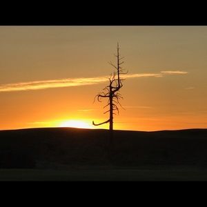 Meet your Posher, Tommy